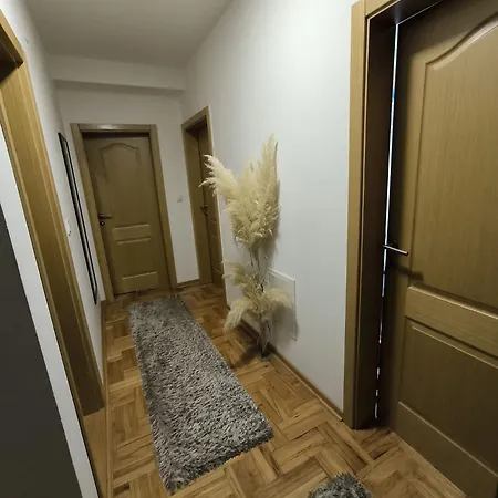 Apartment Zivic Ni