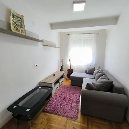 Zivic Ni
