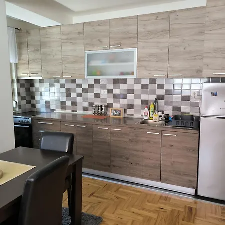 Apartment Zivic Ni